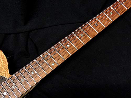 Amazon | SCHECTER PS-PT-MW-P90/NTL/PF シェクター テレキャスター